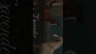 🤫