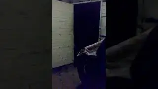 Juan40