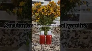 Sarı Kantaron Yağı Nasıl Yapılır? #sarıkantaronyagi