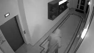 01010000968000201