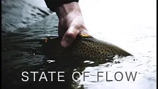 STATE OF FLOW | A Cinematic White River Experience