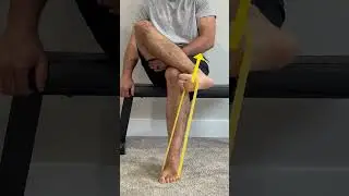 Posterior Tibialis Tendon Dysfunction:  Best Stretches, Exercises & Education #shorts