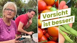 Something's coming! This has nothing to do with hysteria (Garden Vlog)