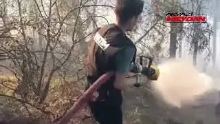 SAKARYA'DA ORMAN YANGINI