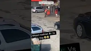 собака напала на человека 😯😯😯 #собака #человек #улица #заправка