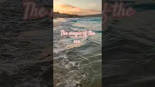 На закате дня 🌅