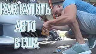Как КУПИТЬ и ПОСТАВИТЬ МАШИНУ на учёт в Нью Йорке. DB#85