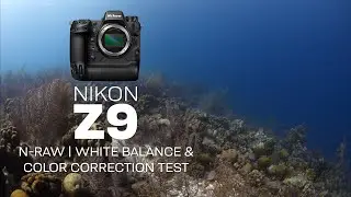 Nikon Z9 | N-RAW White Balance Test 