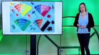 Het kleurenpalet van de tuinontwerper door Modeste Herwig