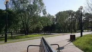 Летает пух