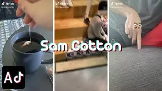 Ani-mator | Sam Cotton Compilation | Awesome TikTokers