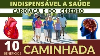 VEJA o que 30 minutos de CAMINHADA diária, podem fazer por sua SAÚDE!