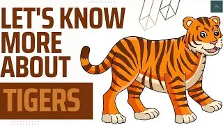 Let's know more about Tigers 🐯
