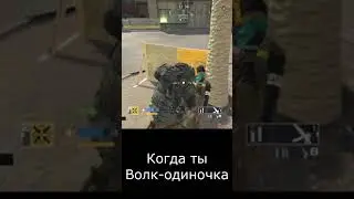 #Калибр