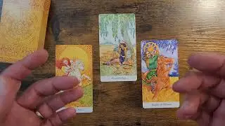 Tap Into Authenticity - Daily Tarot for May 27, 2025