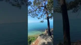 Потрясающая природа России. Море и сосны