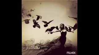 Xcho - Вороны💯💯💯