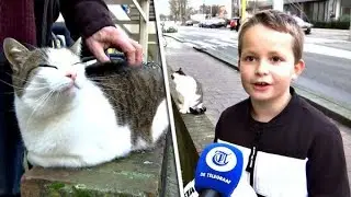 Opluchting in Lisse na vondst Polletje