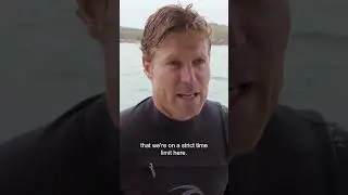 Vet Dives Into The Ocean To Remove Hook Stuck In Shark's Mouth 😱 Bondi Vet #shorts
