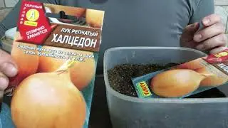 Посадка Ч.2, ЭКСПЕРИМЕНТ НЕ ПОЛУЧИЛСЯ!