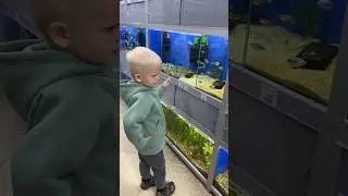 Нашествие улиток 🐌 |