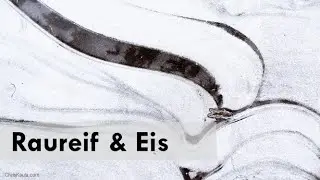 Fotowalk bei Frost & Fotoideen für den Winter