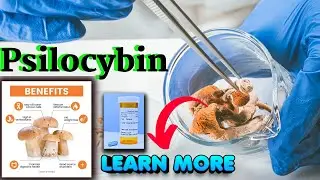 The Truth About Psilocybin | Ancient Secrets Revealed