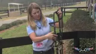 Horseware's Micklem Competition Bridle