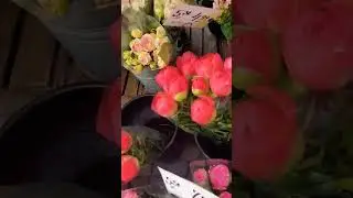 2.06.23.🇩🇪Deutschland Німеччина красиво