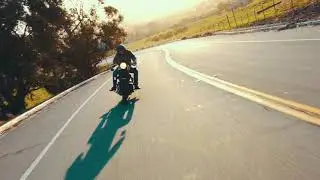 Let It Purrr - Amtecol Full Synthetic 4 Stroke Motorcycle Oils