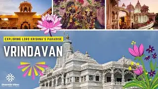 Visited Mathura & Vrindavan🕉️ |•College Trip W friends🥰|•Vrindavan latest vlog🫶🏻 |•Banke bihari ji 🙏
