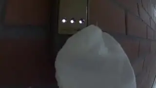 С НОВЫМ ГОДОМ