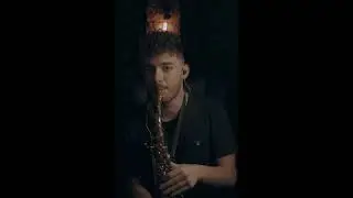 Tiësto The Business - Danny Sax