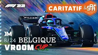 J'ai organisé un stream caritatif pour la SPA ! | Vroom Cup #8
