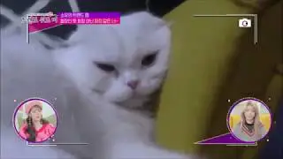 Cat Servant Soyou's Extreme Job XD [Eng]