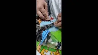 ИГРУНКА ОПЕРАЦИЯ