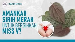 Sering Digunakan untuk Membasuh Area Kewanitaan, Ini Fakta Daun Sirih Merah | Hidup Sehat tvOne