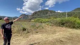 penitas landing zone