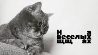 ВАКЦИНАЦИЯ ЖИВОТНЫХ.  ЧТО ДАЕТ ВАКЦИНА? СТОИТ ЛИ ДЕЛАТЬ?