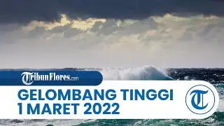 Peringatan Gelombang Tinggi 1 Maret 2022: Laut Flores & Perairan Utara Flores Capai 1,25-2,5 Meter