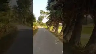 #travel #bangladesh #village #tour #motorcycle #nature #crops #farmer#village road