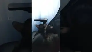 10 декабря 2023 г.