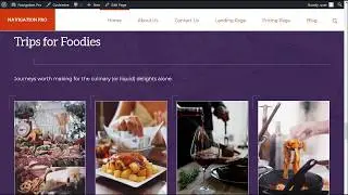 Replacing Background Images in Navigation Pro Theme