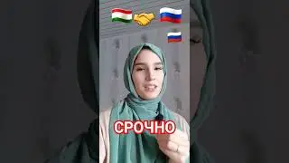 16 апреля 2024 г.
