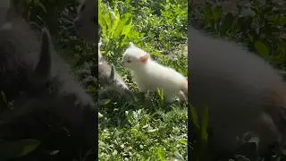 Запомните их такими))