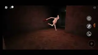 FUNNY THINGS VS CHASED BY SCPS