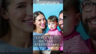 Холестерин не равно атеросклероз! 
