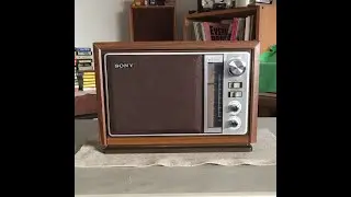 Sony ICF-9740W AM FM Radio