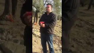 Süper ses