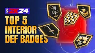 BEST INTERIOR DEFENSE BADGES in 2K24
